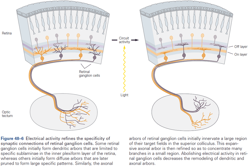 Figure 48.6