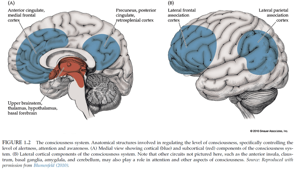 Figure 1.2