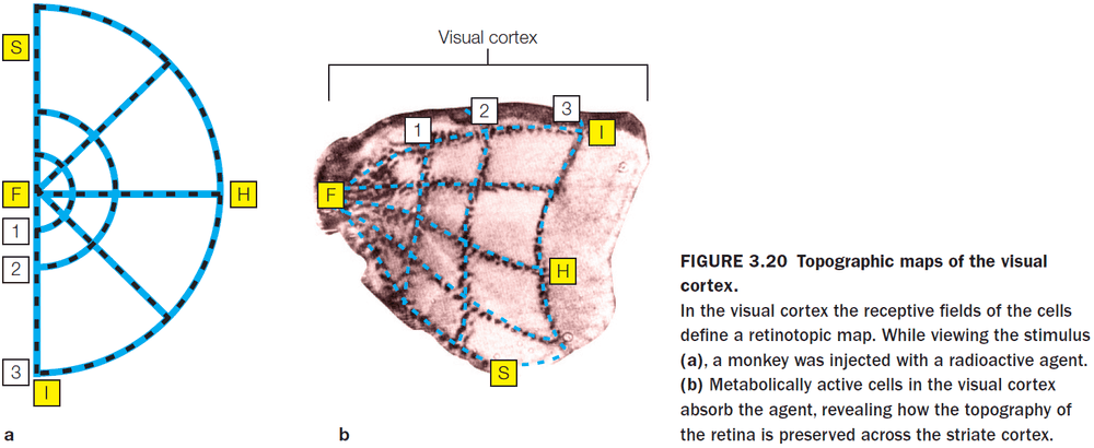 Figure 3.20