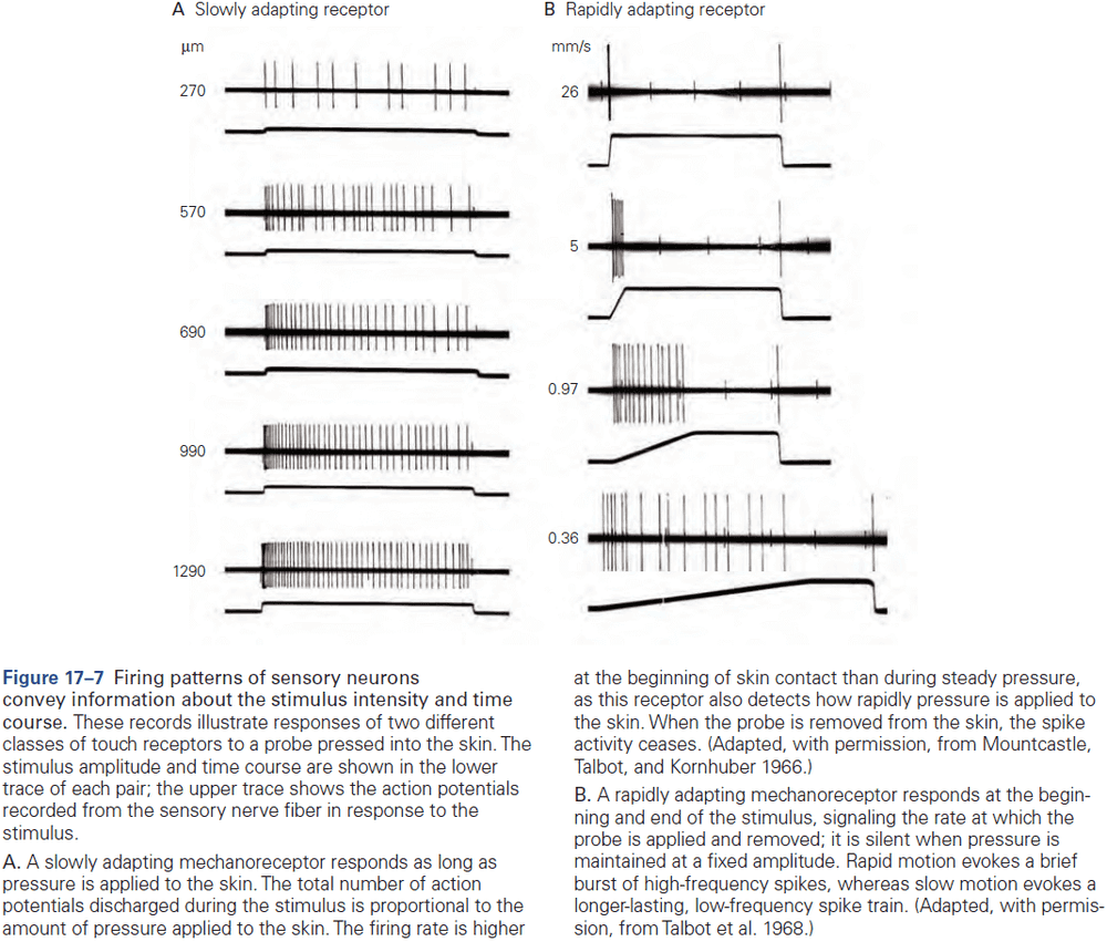 Figure 17.7