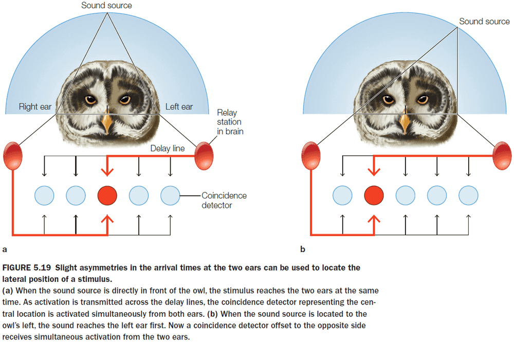 Figure 5.19