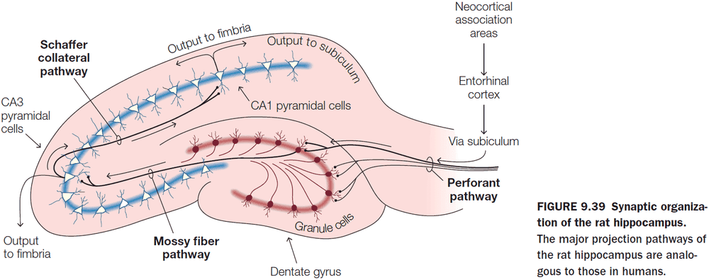 Figure 9.39