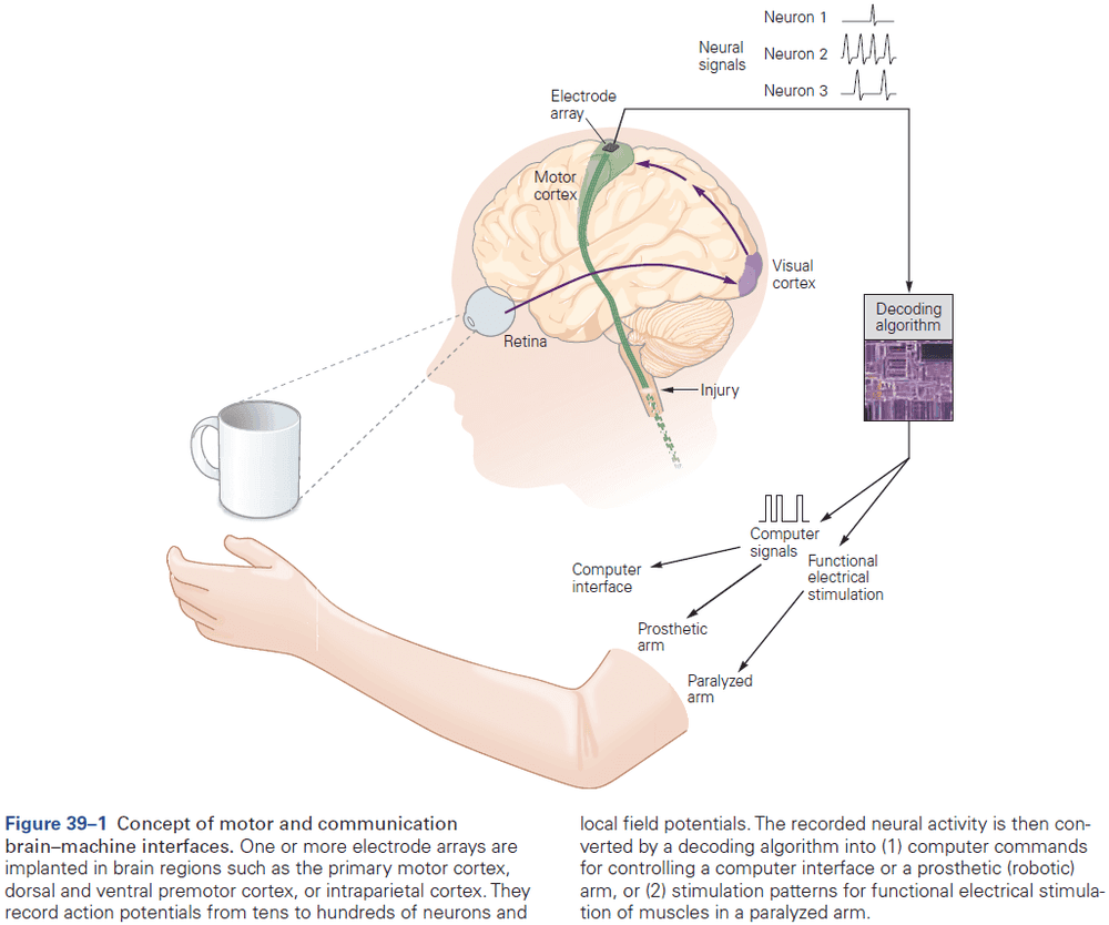 Figure 39.1