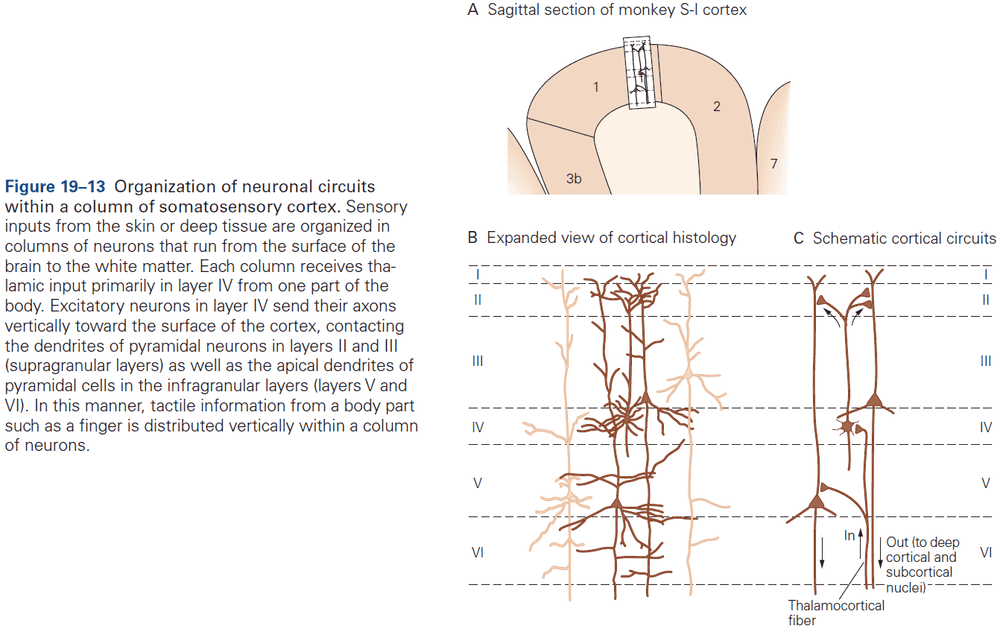 Figure 19.13