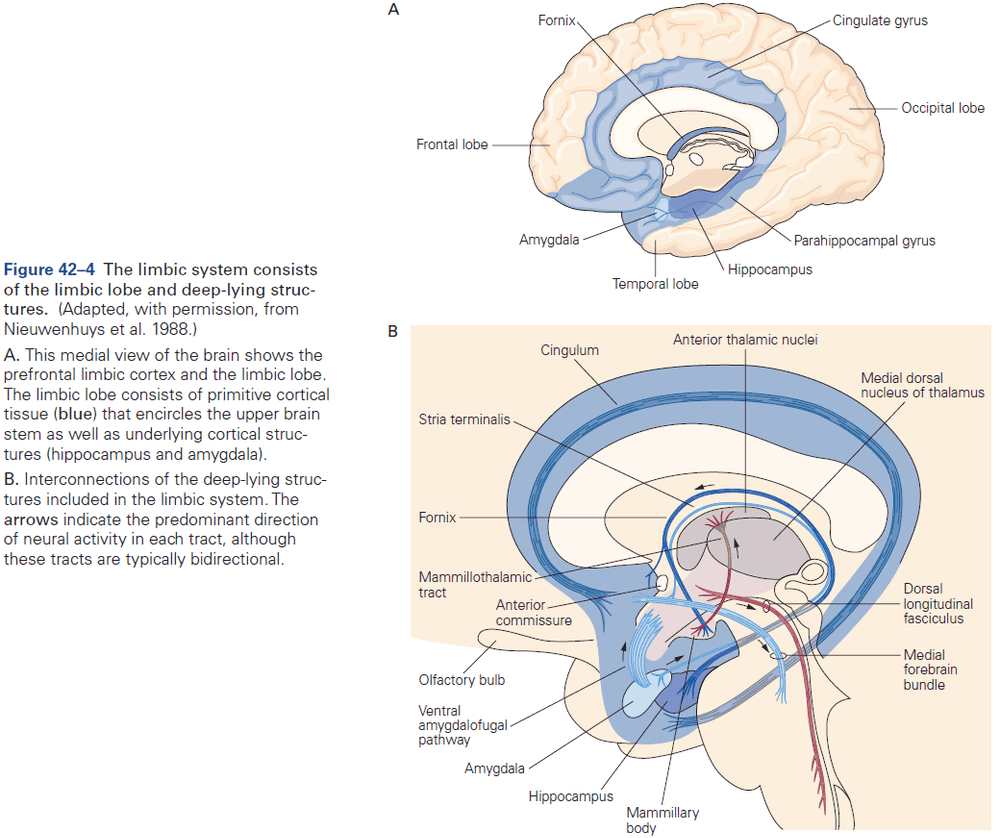 Figure 42.4