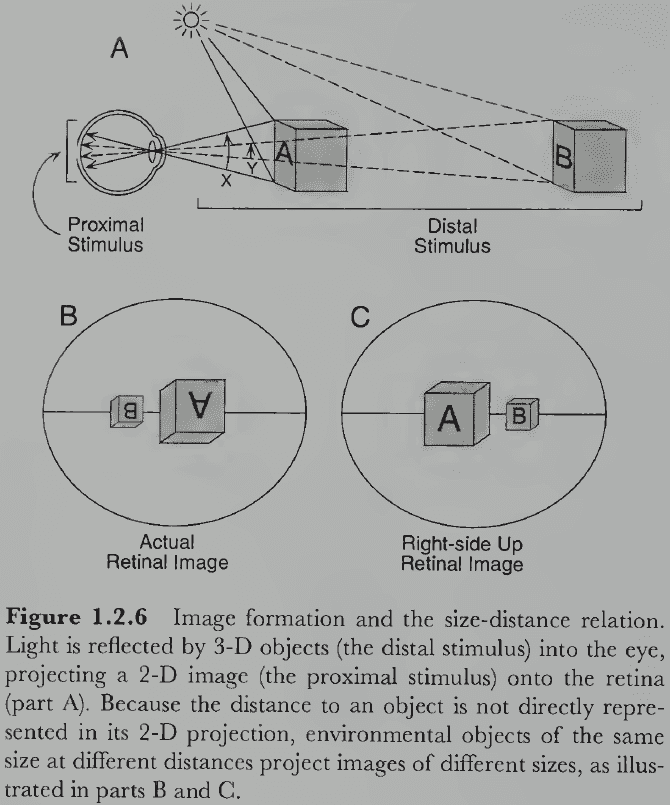 Figure 1.2.6