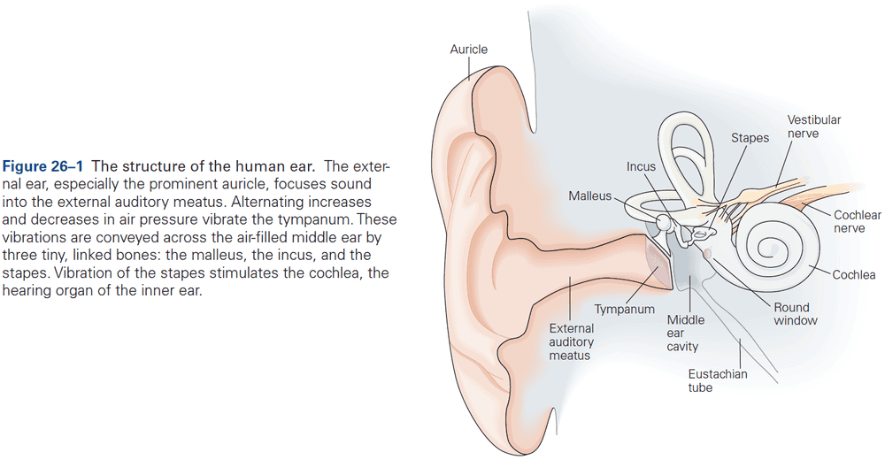 Figure 26.1