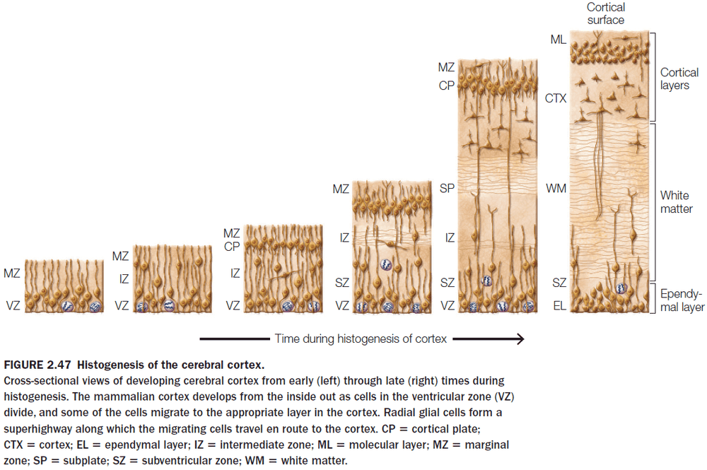 Figure 2.47