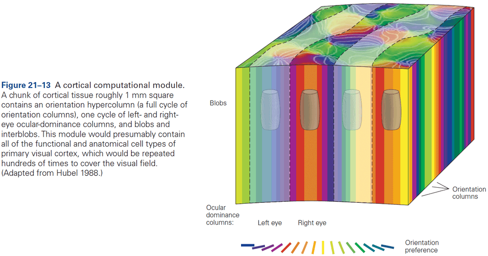 Figure 21.13