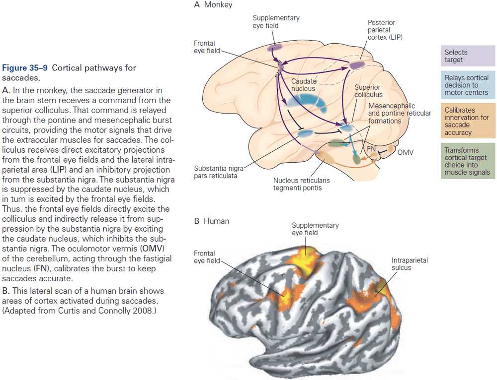 Figure 35.9