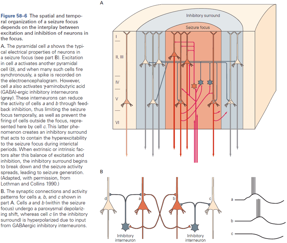 Figure 58.6