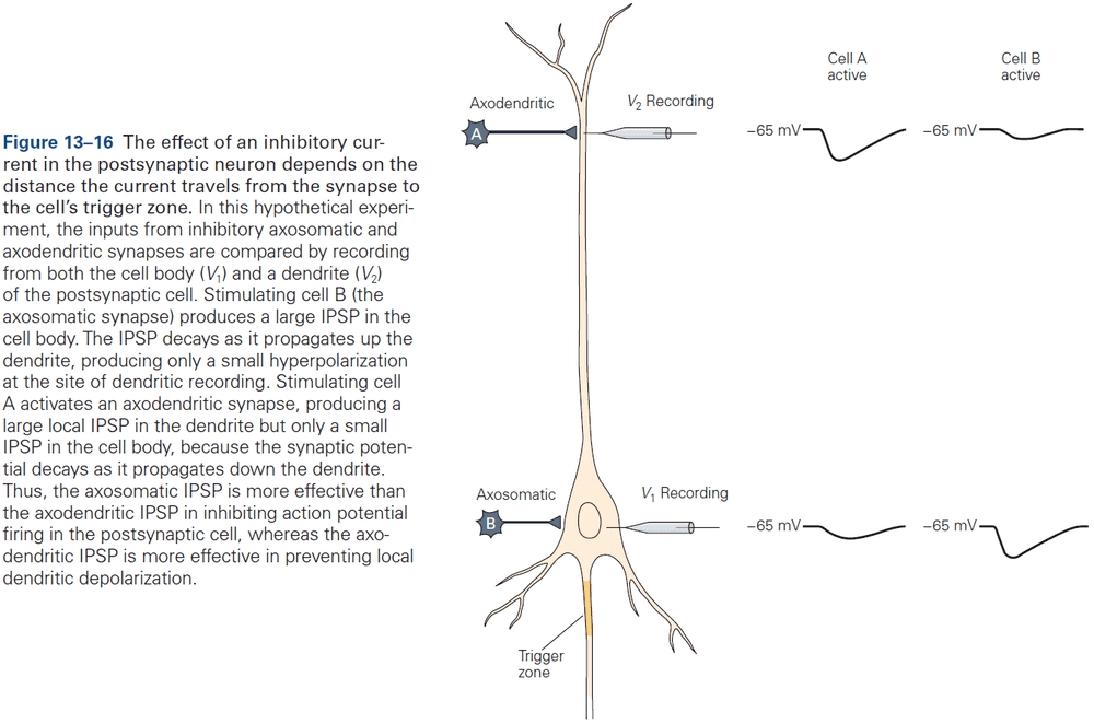 Figure 13.16