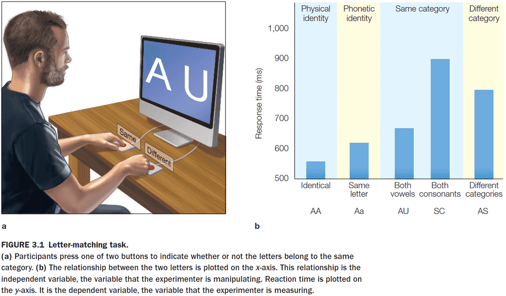 Figure 3.1