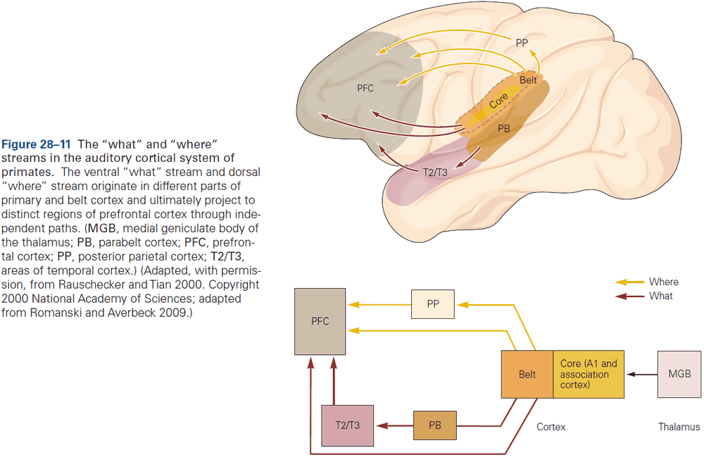 Figure 28.11