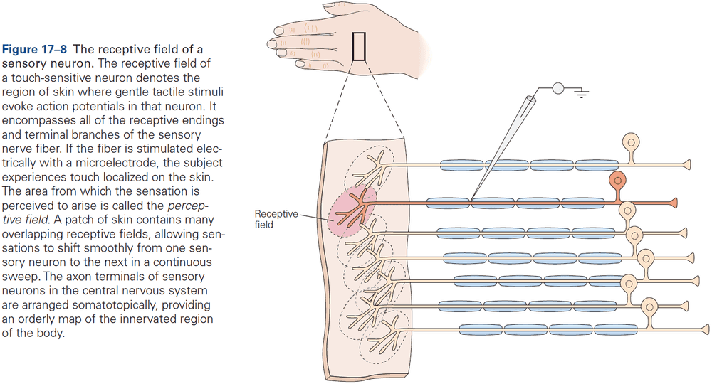 Figure 17.8