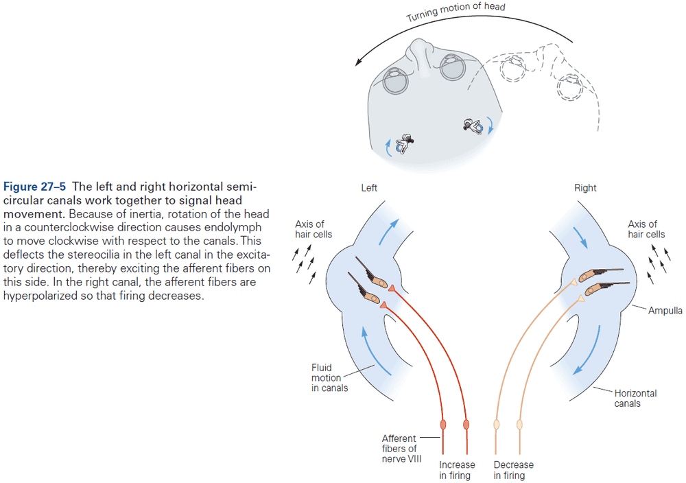 Figure 27.5