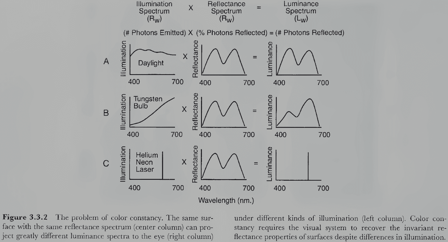 Section 3.3: Surface-Based Color Processing