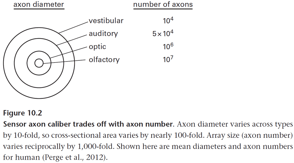 Figure 10.2