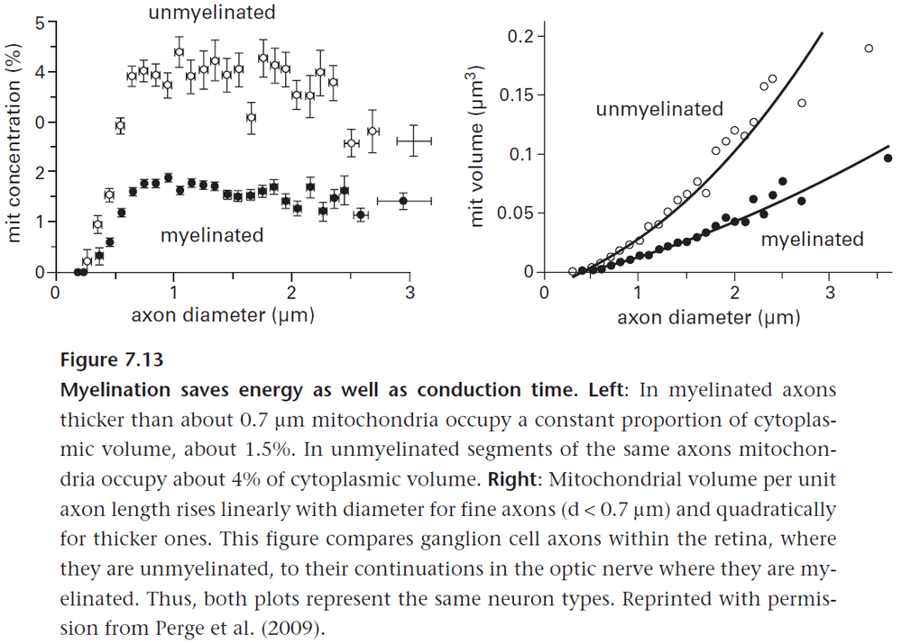 Figure 7.13