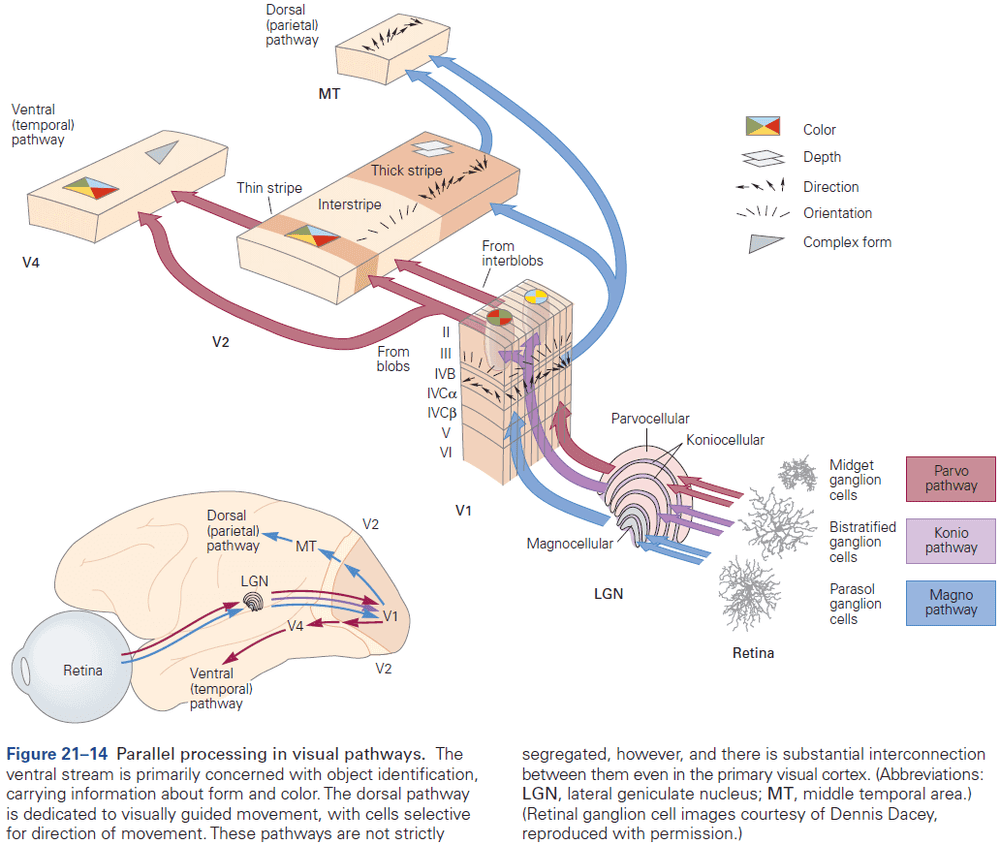 Figure 21.14