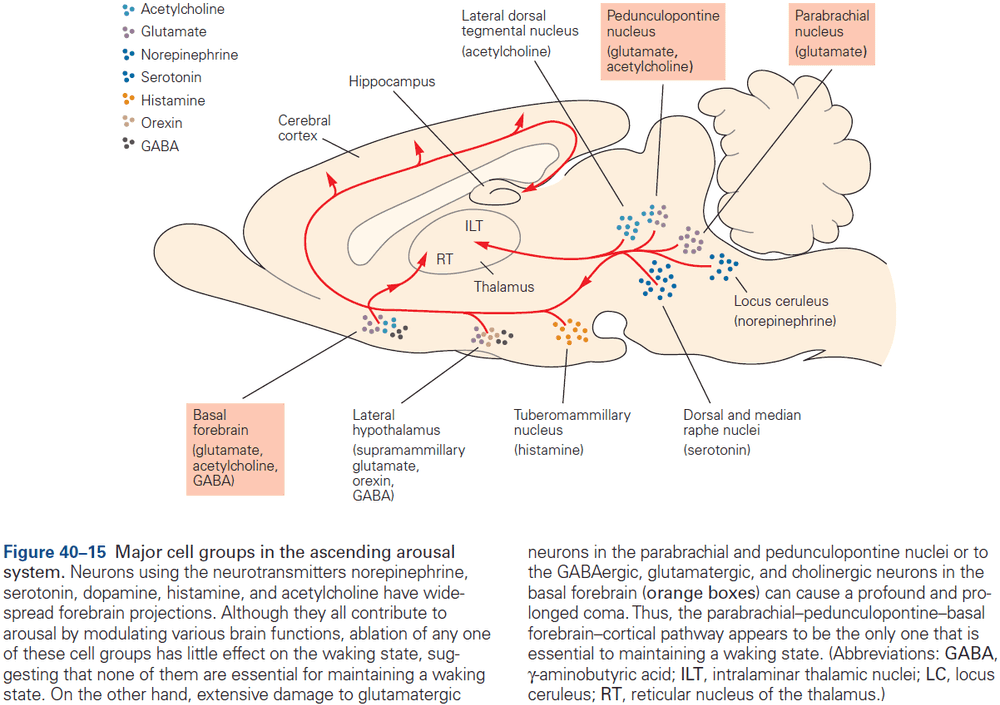 Figure 40.15