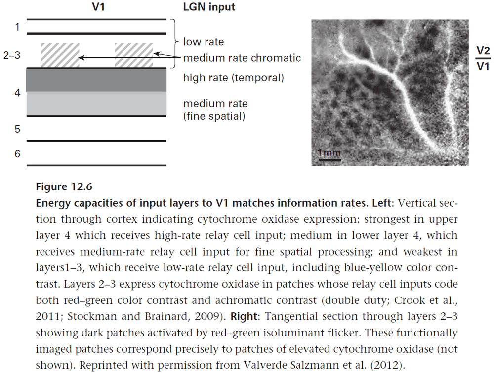 Figure 12.6