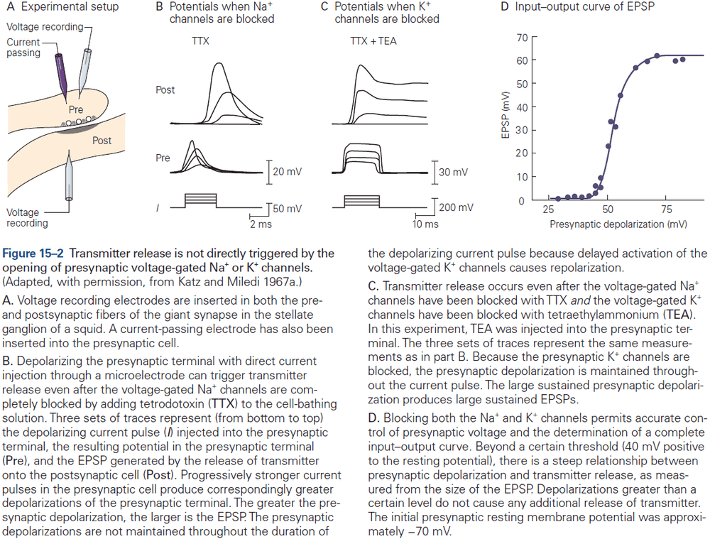 Figure 15.2