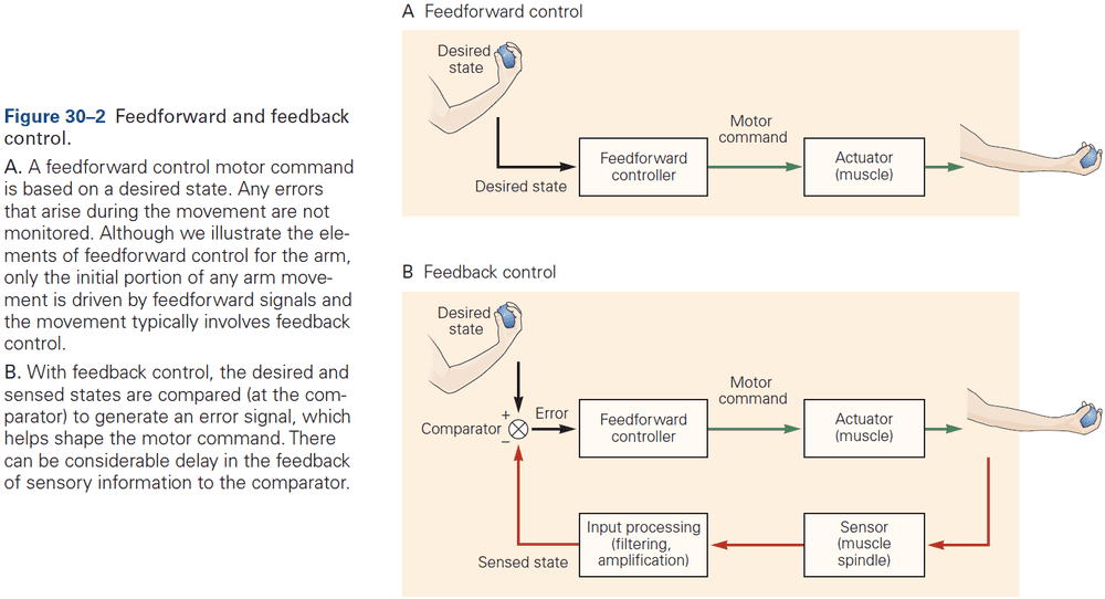 Figure 30.2