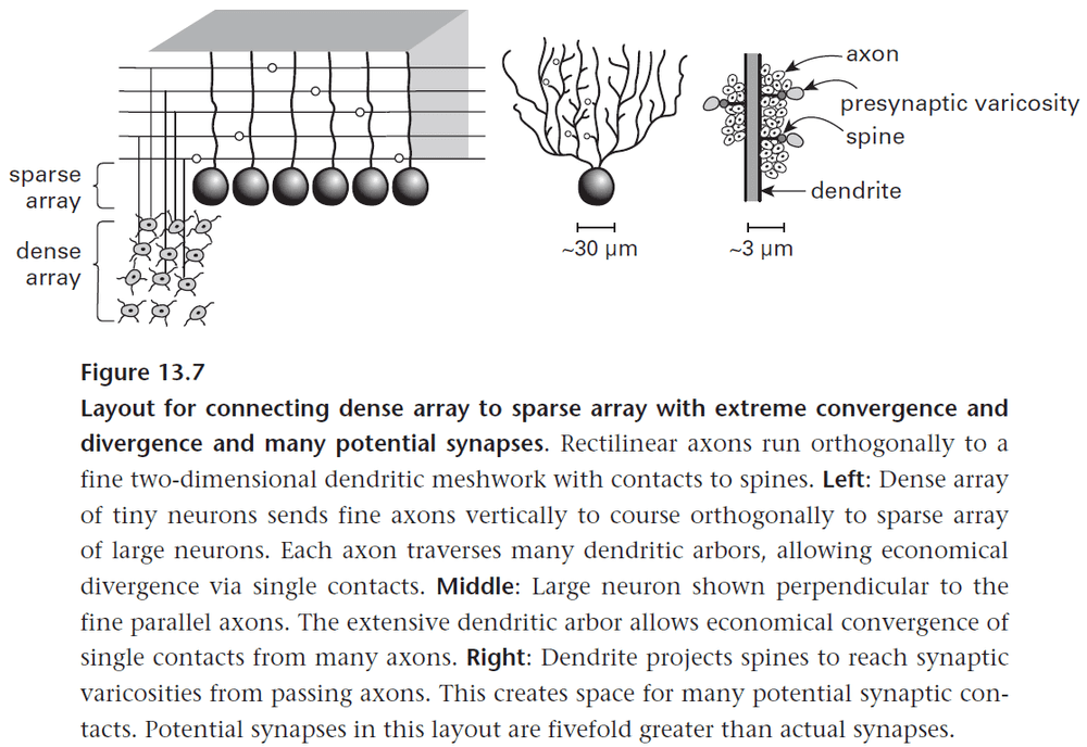 Figure 13.7