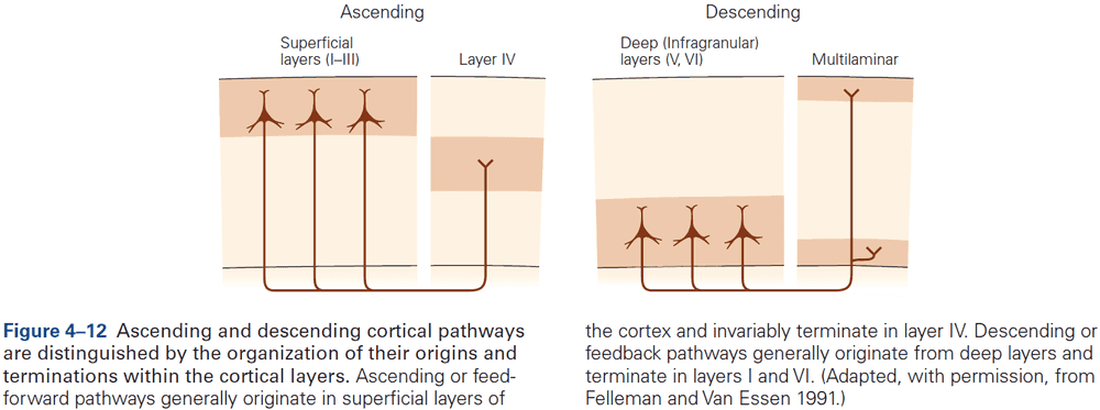 Figure 4.12