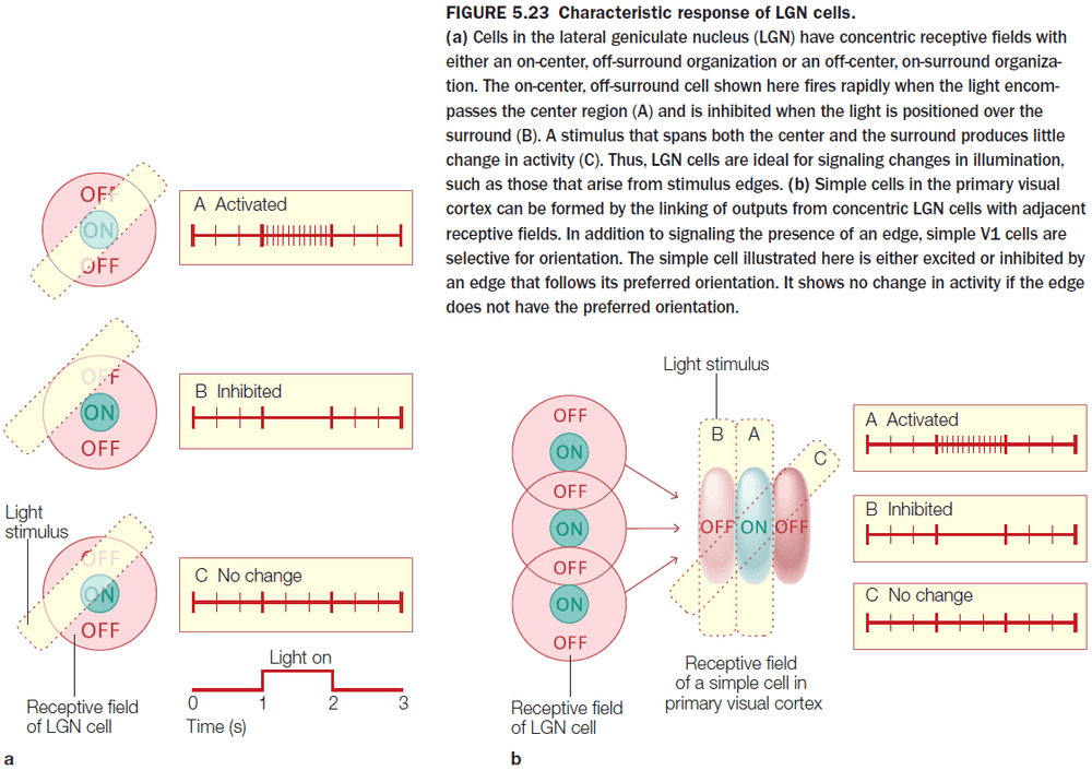 Figure 5.23