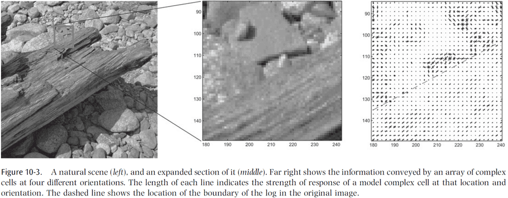 Figure 10.3