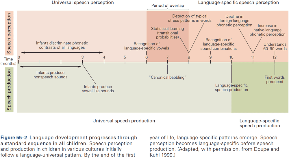 Figure 55.2