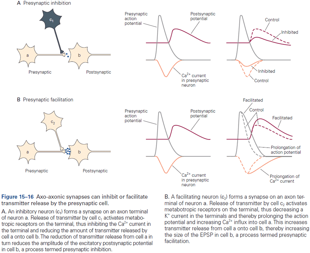 Figure 15.16