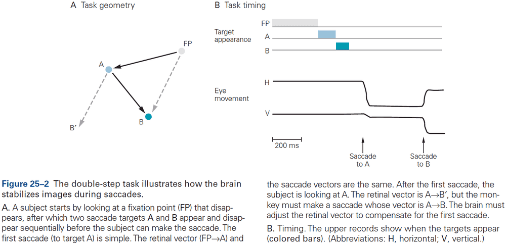 Figure 25.2