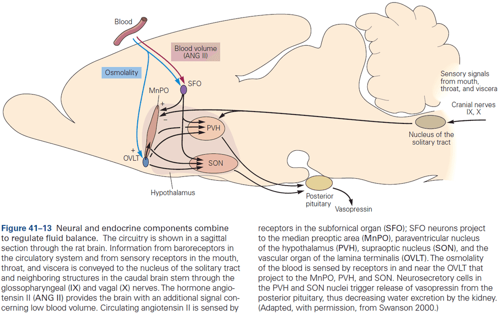 Figure 41.13