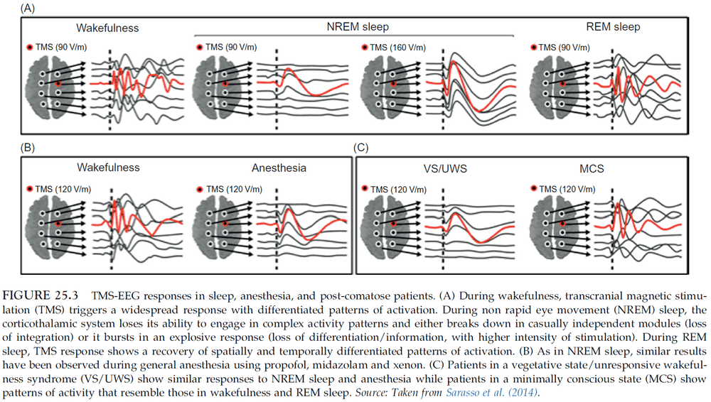 Figure 25.3