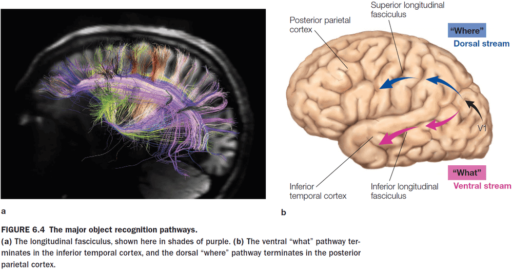 Figure 6.4