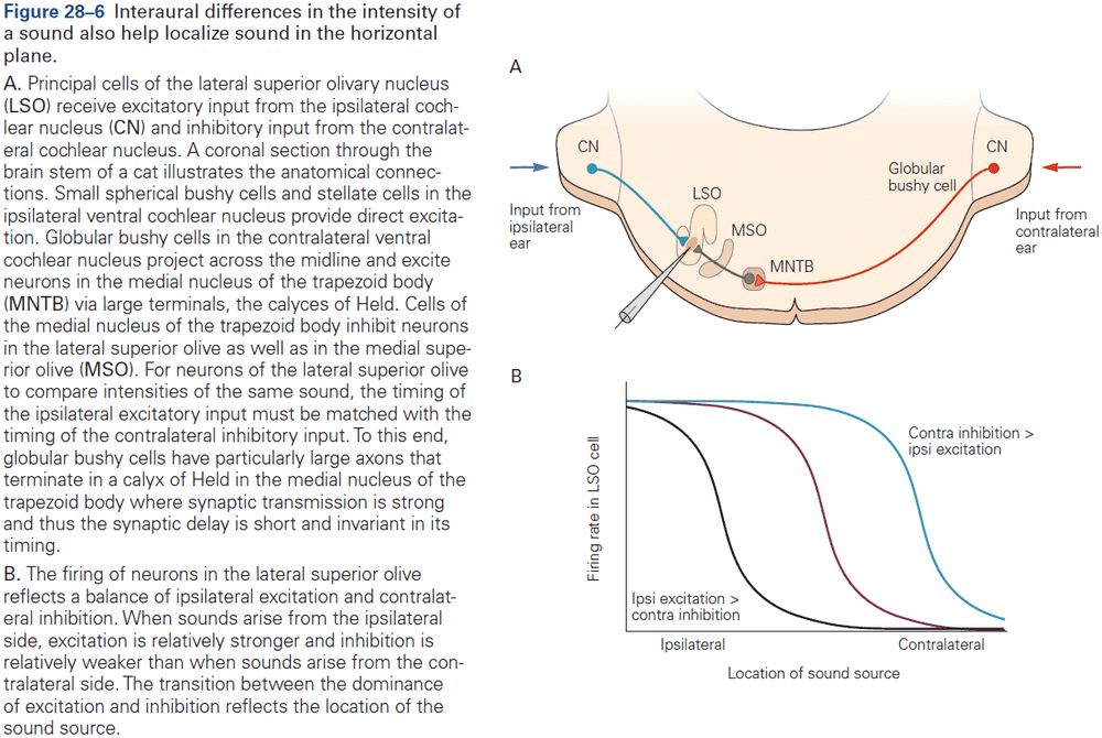 Figure 28.6