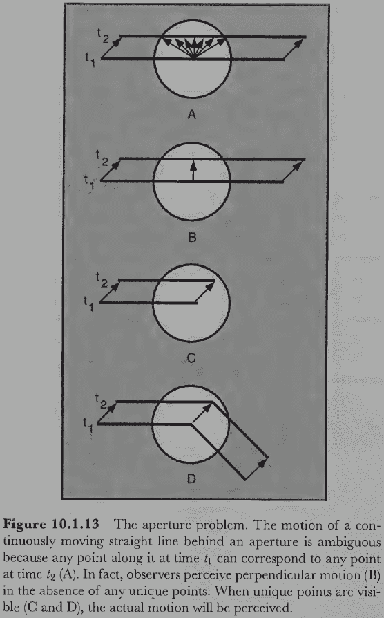Figure 10.1.13