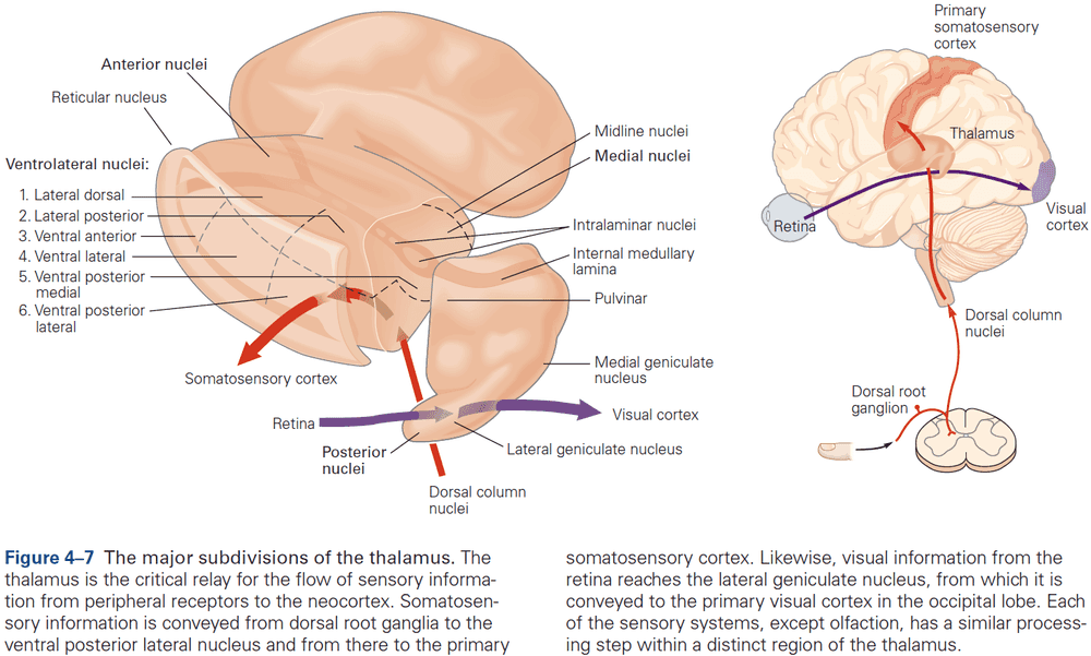 Figure 4.7