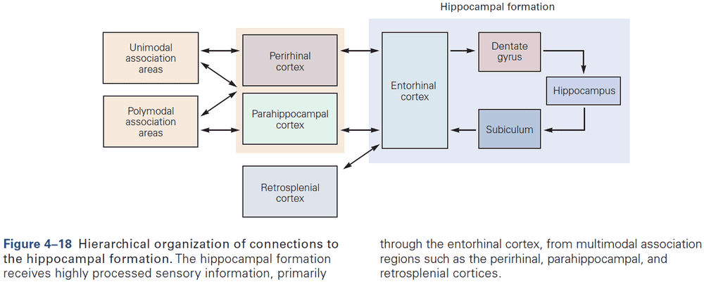 Figure 4.18