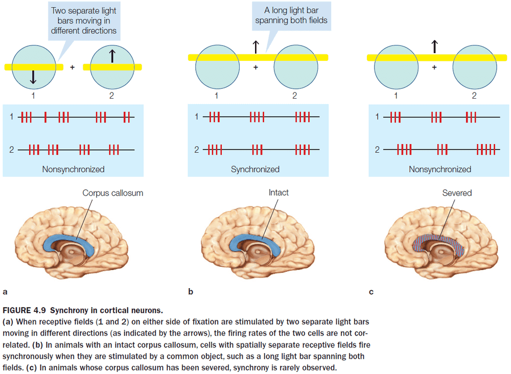 Figure 4.9