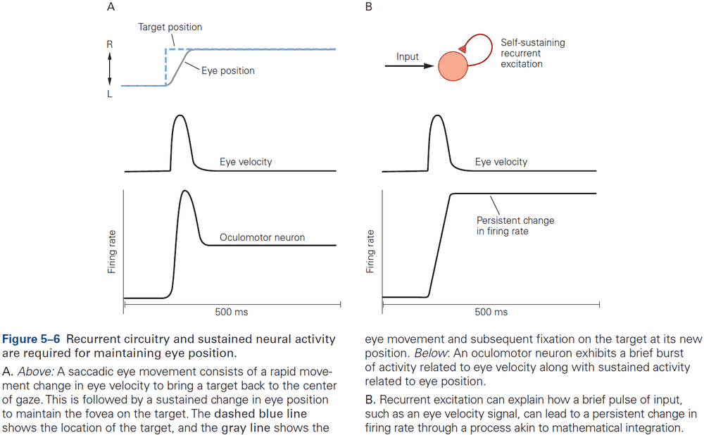 Figure 5.6