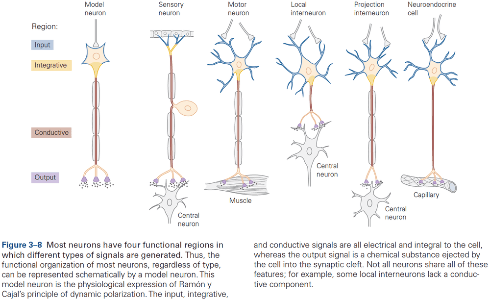 Figure 3.8