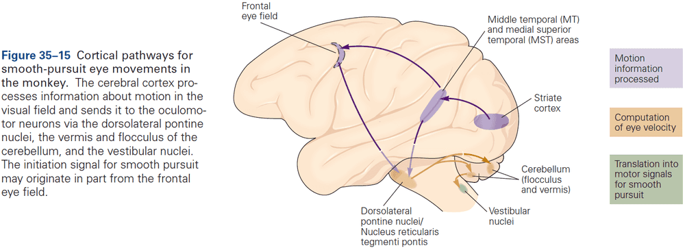 Figure 35.15