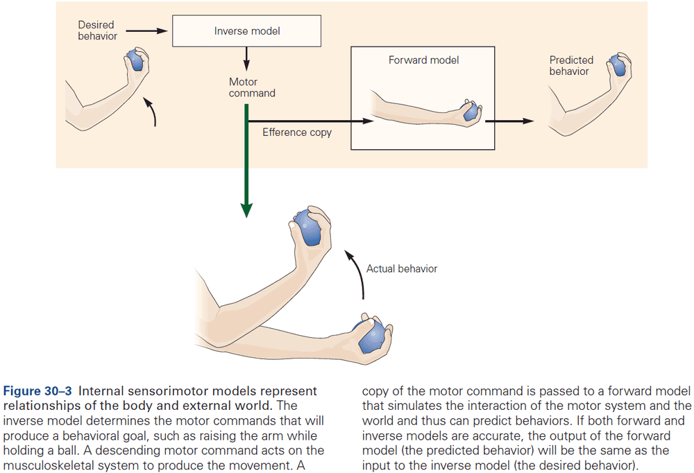 Figure 30.3